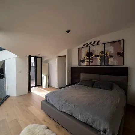 Luxury 2 Bedroom Loft Apt W/terrace In Galata アパート イスタンブール
